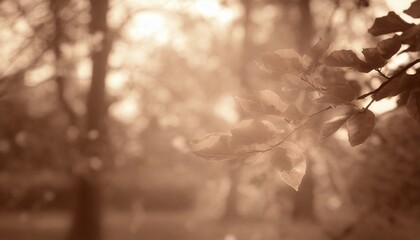 Canvas Print - moody autumn background tree branch with brown autumn leaves in the sun and blurred trees retro brown sepia fall backdrop