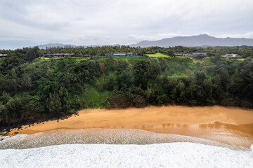 Poster - A Hawaiian beach 