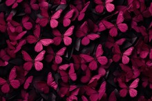  A Large Group Of Pink Butterflies Flying In The Air With A Black Back Ground And Red And Black Back Ground.