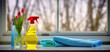 Cleaning products are on the table by the window in the sun with flower. Design for spring house cleaning, cleanliness and freshness. Horizontal banner template with place for text, copy space