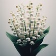 lily of the valley is a kind of perennial herbaceous plant known as may bells our lady s tears and mary s tears
