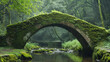An enchanting moss-covered bridge arching over a quiet stream, surrounded by a dense forest. The juxtaposition of the ancient stone structure and the vibrant moss creates a visuall