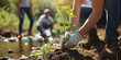 © edelweiss7227 - A volunteer guy plants a tree along a stream to prevent erosion. The concept of ecology, environmental protection.