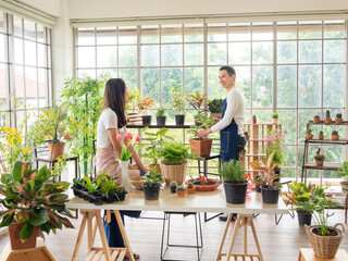Portrait gardener young asian man woman two person standing smiling looking hand holding help decorate tree leaf green in calm work in room shop home plant white wall. hobby job happy and care concept