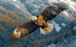 Graceful and majestic, a bald eagle soars through the crisp mountain air, its powerful wings and piercing beak embodying the untamed spirit of the wild