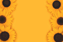 Border Frame Made Of Sunflowers On A Yellow Background. Place For Text.