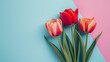 Bouquet of tulips. Mothers day, Valentines Day, Birthday celebration concept. Greeting card. Copy space for text, top view