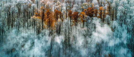 Wall Mural - aerial photo, autumn meets the first snow in the mountains