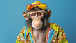 Hippie monkey with sunglass shade glasses on solid blue background, commercial, advertisement, surrealism. Creative animal humanization concept. 