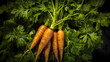 Carrots, there are many carrots that are piled together in a pile.