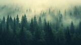 Fototapeta Na ścianę - Misty landscape with mountains and fir forest in hipster vintage retro style