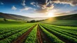 sustainable agriculture generative ai