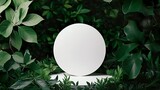 Fototapeta Desenie - A white circle surrounded with green ecological forest for natural product presentation. Backdrop with fresh leaves for advertising display.
