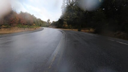 Wall Mural - Driving with bad weather. Point of view of a car driving along the asphalt road in the forest. It is raining and the rain drops crush against the lens.