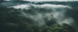 Misty Rainforest Canopy, an aerial shot of a lush rainforest canopy shrouded in mist