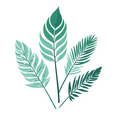  Exotic leaves set tropical leaf collection vector illustration