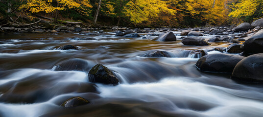 Wall Mural - Water flowing over river rocks in the forest in the fall