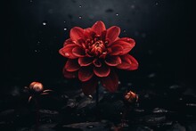A Deep Red Flower On A Shadowy Surface. Generative AI