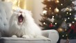 A Cute white Persian cat lying on a modern rocking chair. and yawn against the background of a stylishly decorated Christmas tree in a sunny living room. Pet and Winter Holiday Ideas