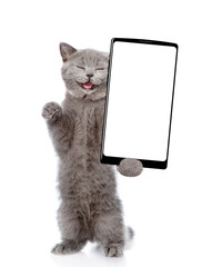Aufkleber - Happy cat holds big smartphone with white blank screen in it paw, showing close to camera. isolated on white background