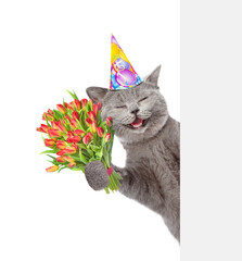 Aufkleber - Happy cat wearing party cap holds bouquet of tulips and looks from behind empty white banner. Isolated on white background