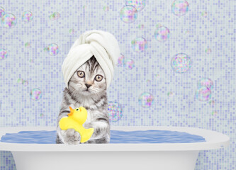 Aufkleber - Cute kitten with towel on it head takes the bath with rubber duck at home. Empty space for text