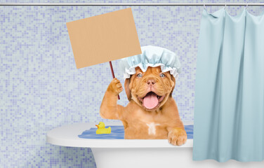 Canvas Print - Happy Mastiff puppy with shower cap on it head takes the bath at home and shows empty placard