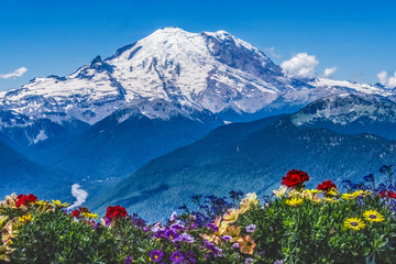 Wall Mural - Colorful Flowers Mount Rainier Crystal Mountain Lookout Pierce County Washington