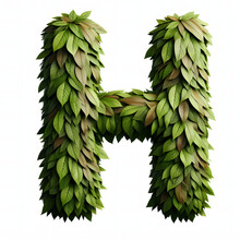 The Letter H Is Made Out Of Leaves, Leaves Alphabet, On A White Background, Isolated On White, Photorealistic	
