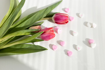 Background for Valentine's Day. Assorted pink, purple, white heart shaped candies with printed messages of love and fresh pink tulips on white background. Gift for Women's Day, March 8