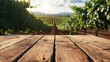 Wooden table and wine grapes growing on terrace of vineyard