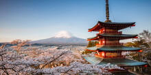 Panorama Of Chureito Pagoda And Mt Fuji With Cherry Blossoms, Japan