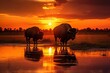 Stunning view of buffaloes grazing serenely in the golden african savannah at sunset