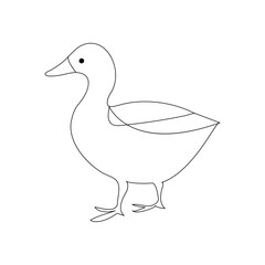 Wall Mural - Duck continuous one line drawing  outline vector illustration
