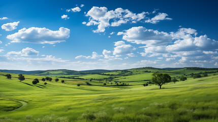 Poster - green field and blue sky. field and clouds