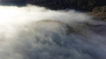 Wall Mural - Time lapse of Drone view of sun rising over fog forest - sunbeam