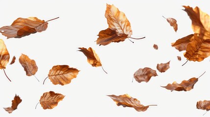 Wall Mural - A captivating image of a bunch of brown leaves gracefully flying in the air. Perfect for autumn-themed designs and nature-inspired projects