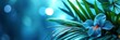 Iris Perennial Rhizomatous Plant Family Iridaceae, Banner Image For Website, Background, Desktop Wallpaper