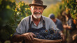 Old man farmer holding a crate of grapes at harvesting in the vineyard