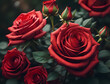 roter Rosen Strauß