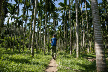 Wall Mural - Hiking in tropical forest mountain