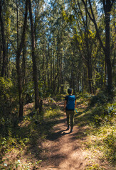 Wall Mural - Hiking in tropical forest mountain