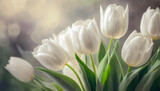 Fototapeta Tulipany - Piękne białe Tulipany, tapeta, dekoracja. Generative AI