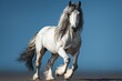 Tinker horse on a light background. Concept: for use in materials about equestrian sports, agriculture and nature. Banner with copy space
