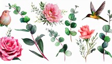 Botanic Watercolor Set With Flowers And Birds Leaves Eucalyptus Pink Roses Butterfly And Hummingbird