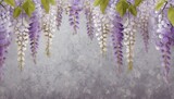 Fototapeta Kwiaty - blooming wisteria and grey textured backgroundwallpaper