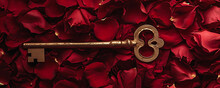 A Golden Key Embedded In A Bed Of Velvet Rose Petals Against A Rich Maroon Background, Symbolizing The Key To Unlocking Deep Emotions.