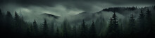 A Long Narrow Panorama Of A Coniferous Northern Forest In The Fog Of An Autumn Day, A Landscape Of Wildlife
