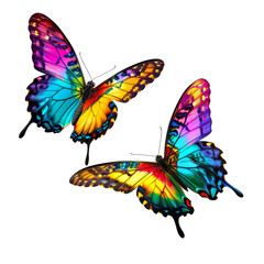 Canvas Print - Set two beautiful colorful bright multicolored tropical butterflies with wings spread and in flight