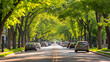Traffic flowing smoothly on a green tree-lined urban boulevard in spring.